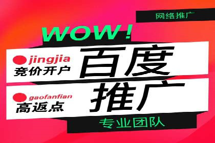 汽车行业SEM服务营销策略及效果展示